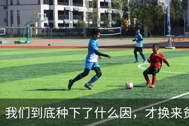 我们到底种下了什么因，才换来贫富分化、年轻人不婚不育的果？